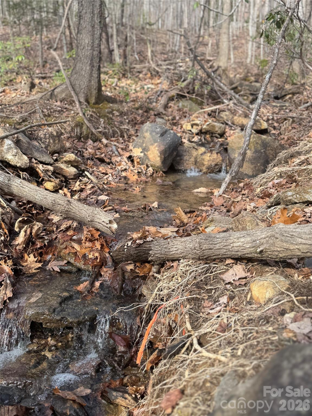 99999 Chesterfield Drive #176 - Photo 3