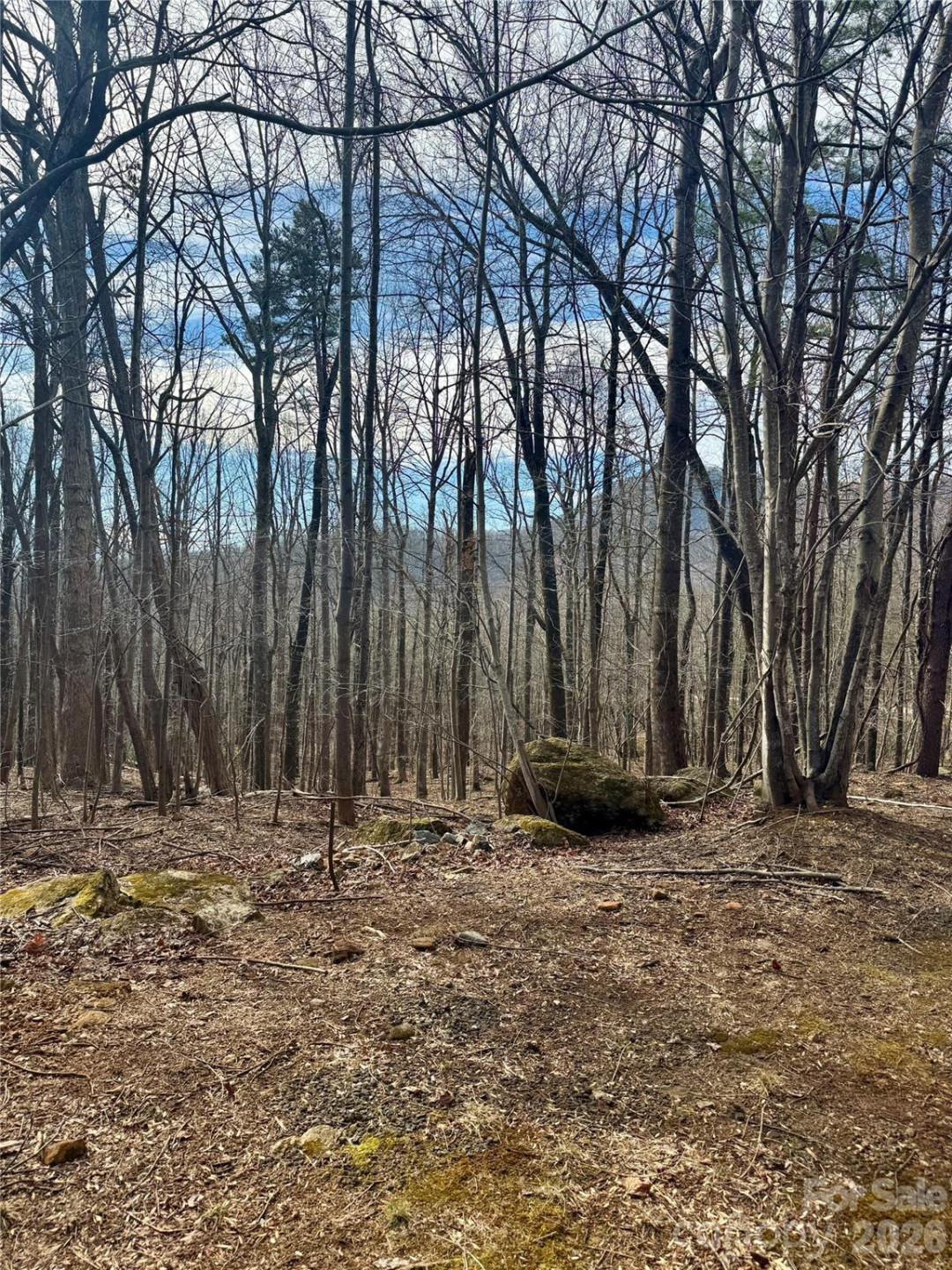 99999 Chesterfield Drive #176 - Photo 4