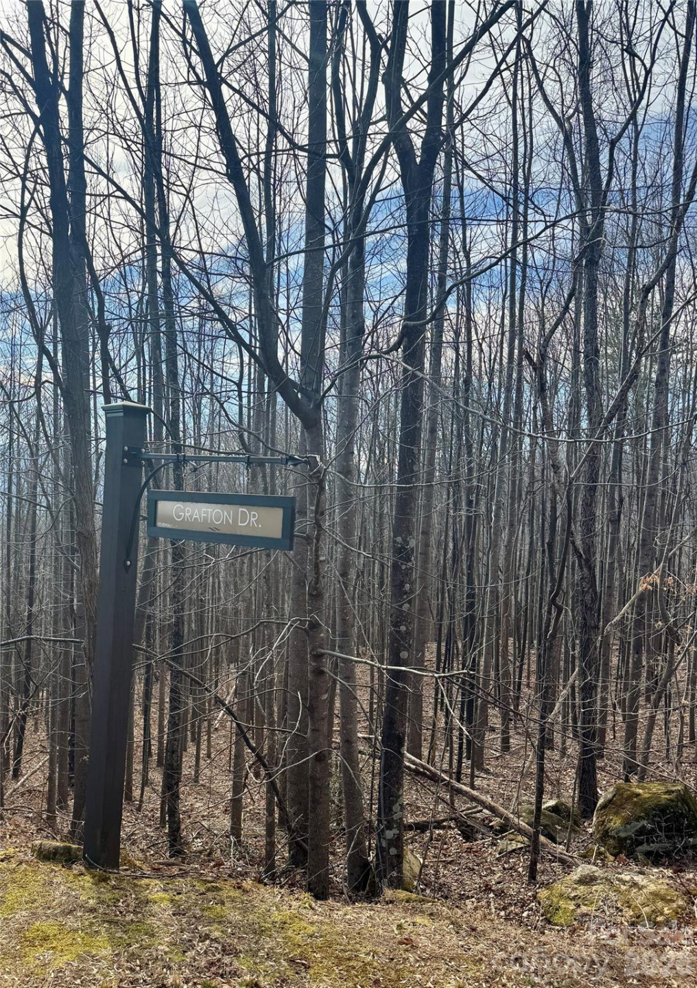 99999 Chesterfield Drive #176 - Photo 8