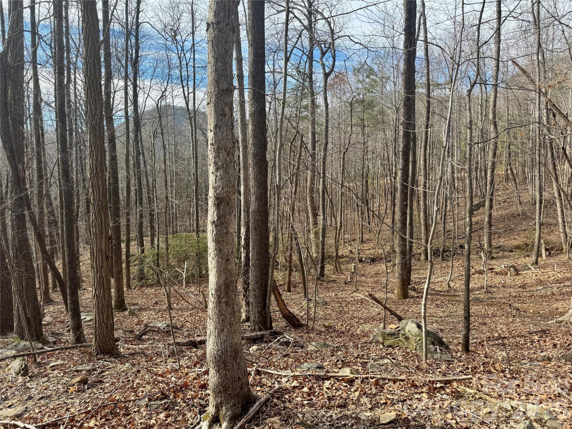 99999 Chesterfield Drive #176 - Photo 9