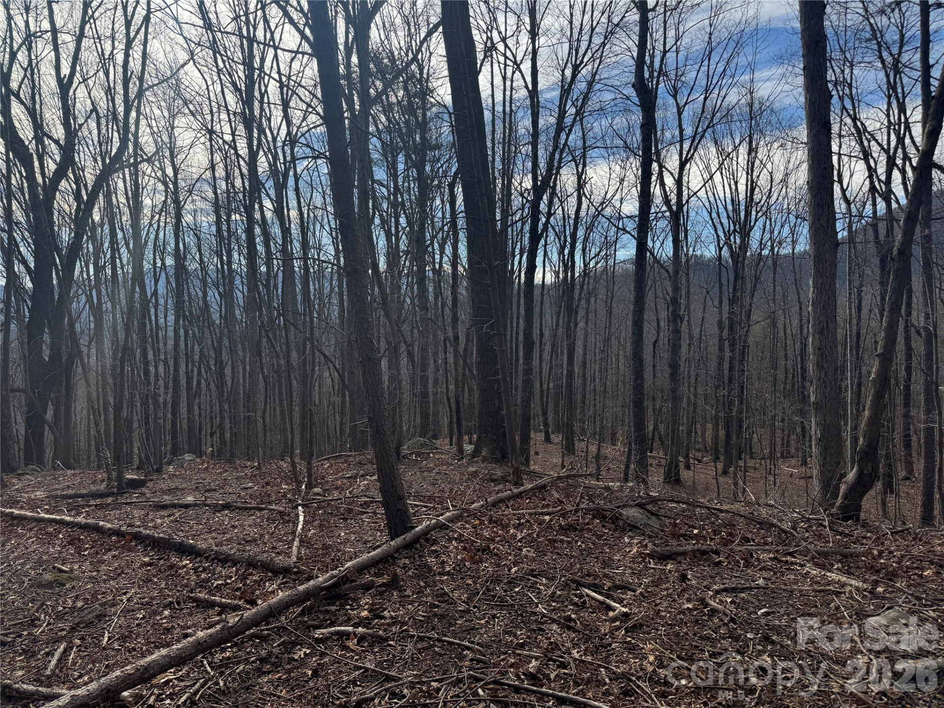 99999 Chesterfield Drive #176 - Photo 10