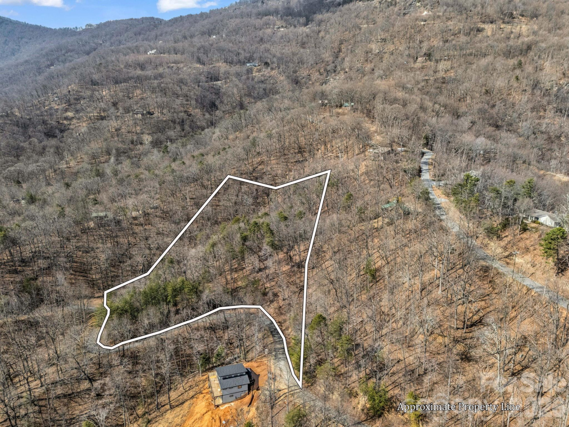 Lot #19 Hemlock Trail #19 - Photo 2