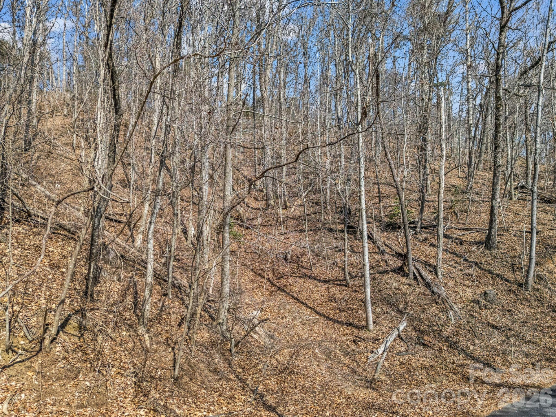 Lot #19 Hemlock Trail #19 - Photo 3