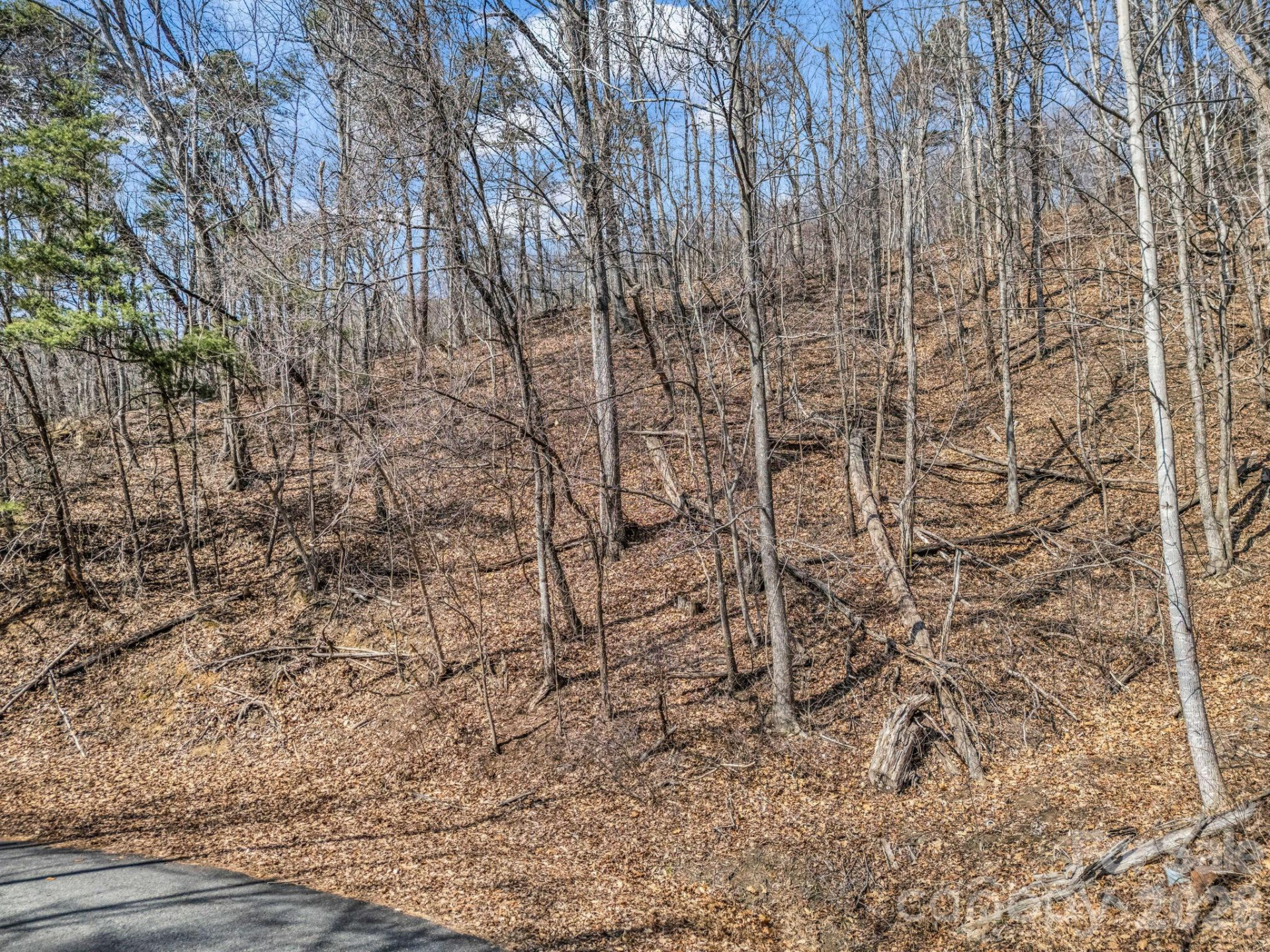 Lot #19 Hemlock Trail #19 - Photo 4