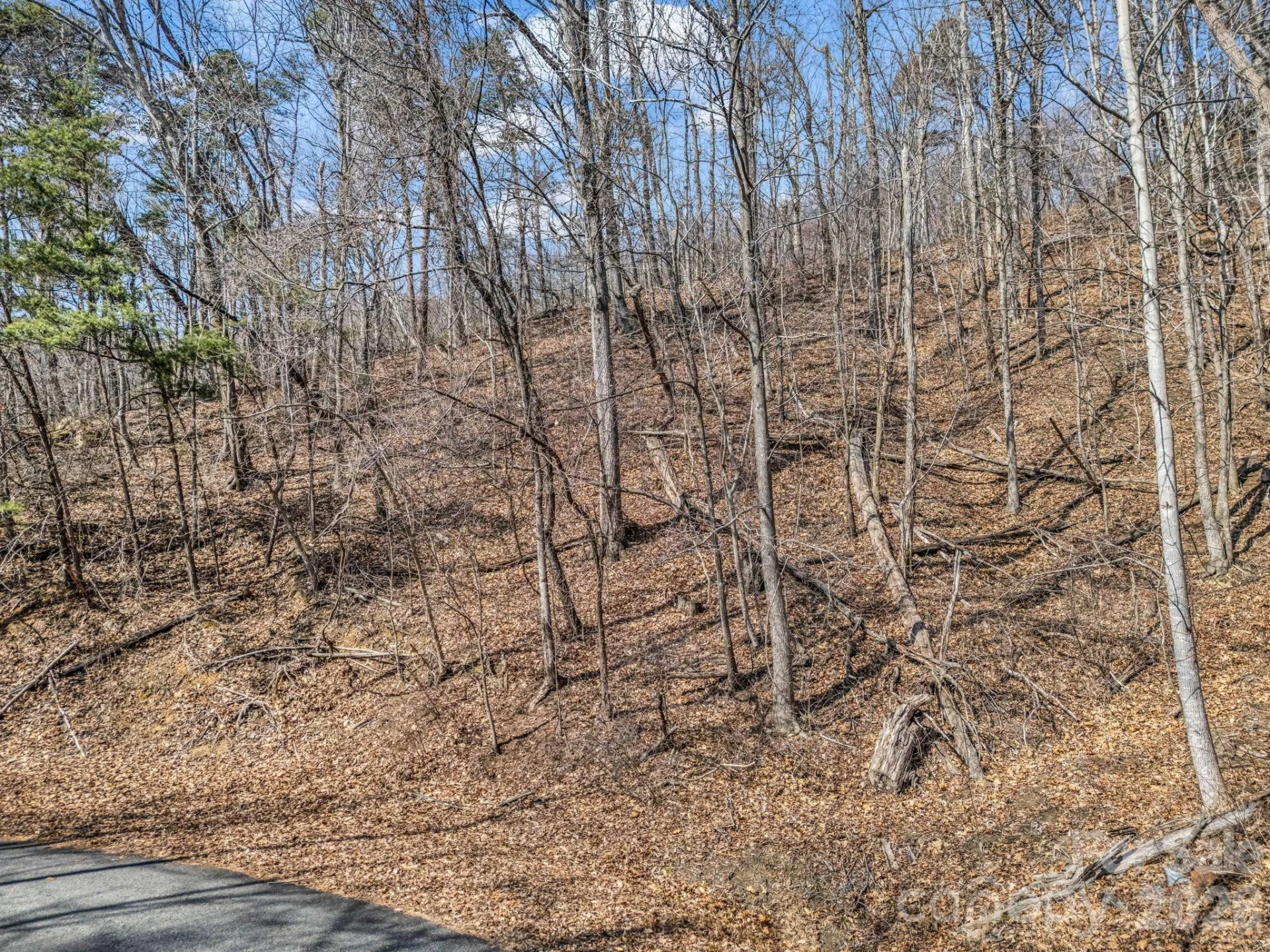Lot #19 Hemlock Trail #19 - Photo 4