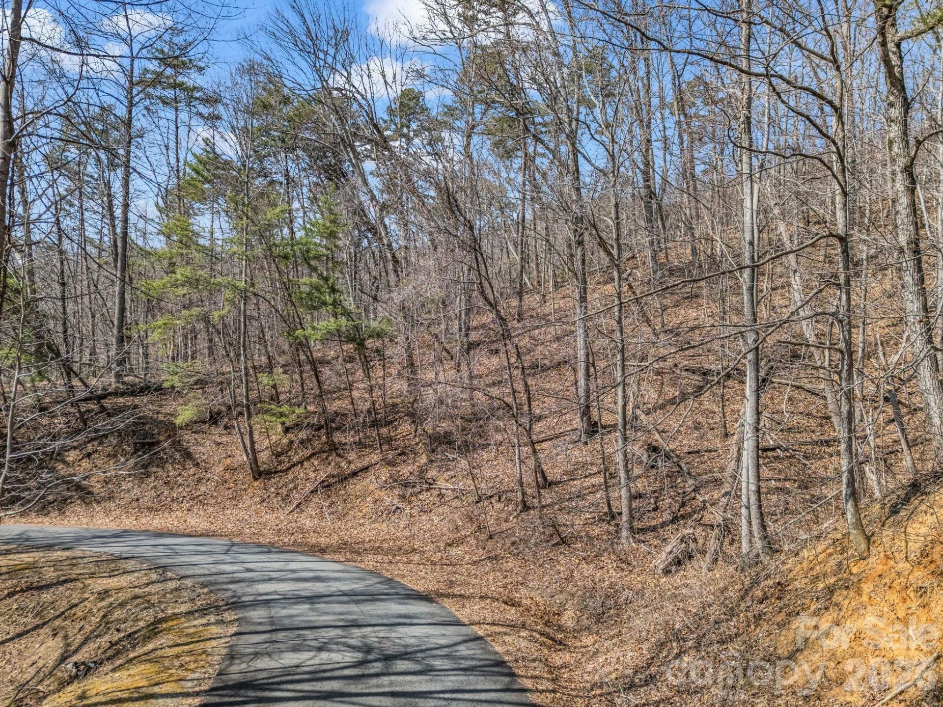 Lot #19 Hemlock Trail #19 - Photo 5