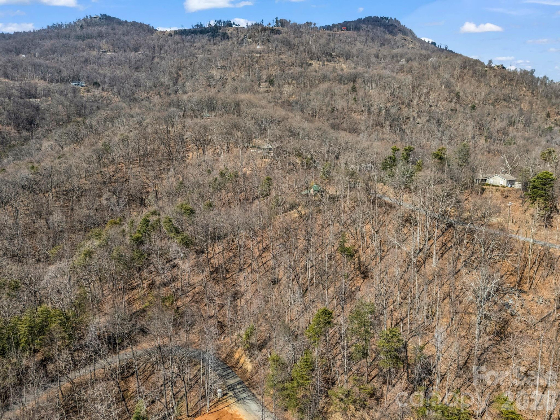 Lot #19 Hemlock Trail #19 - Photo 6