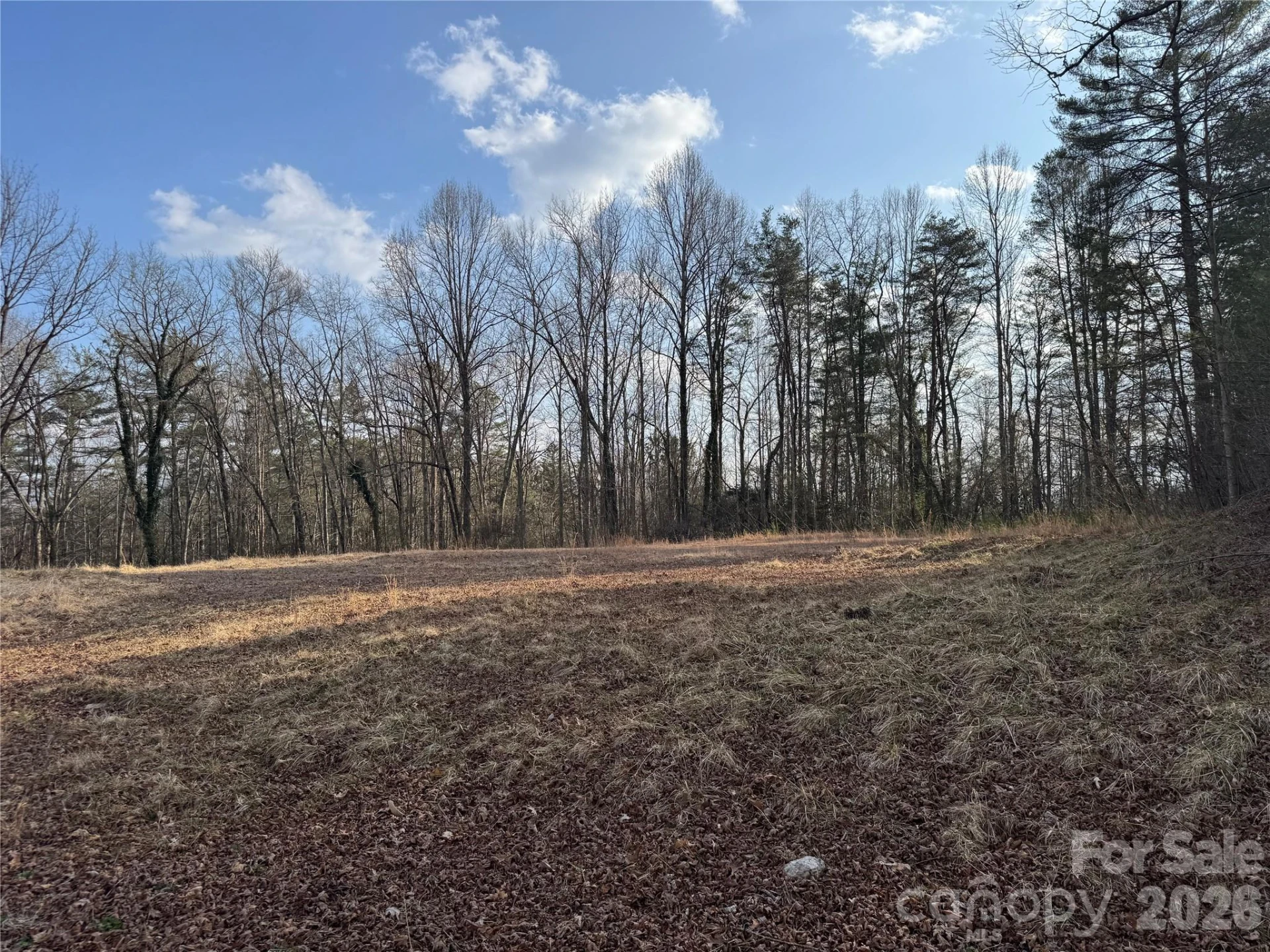 481 Fisher Road