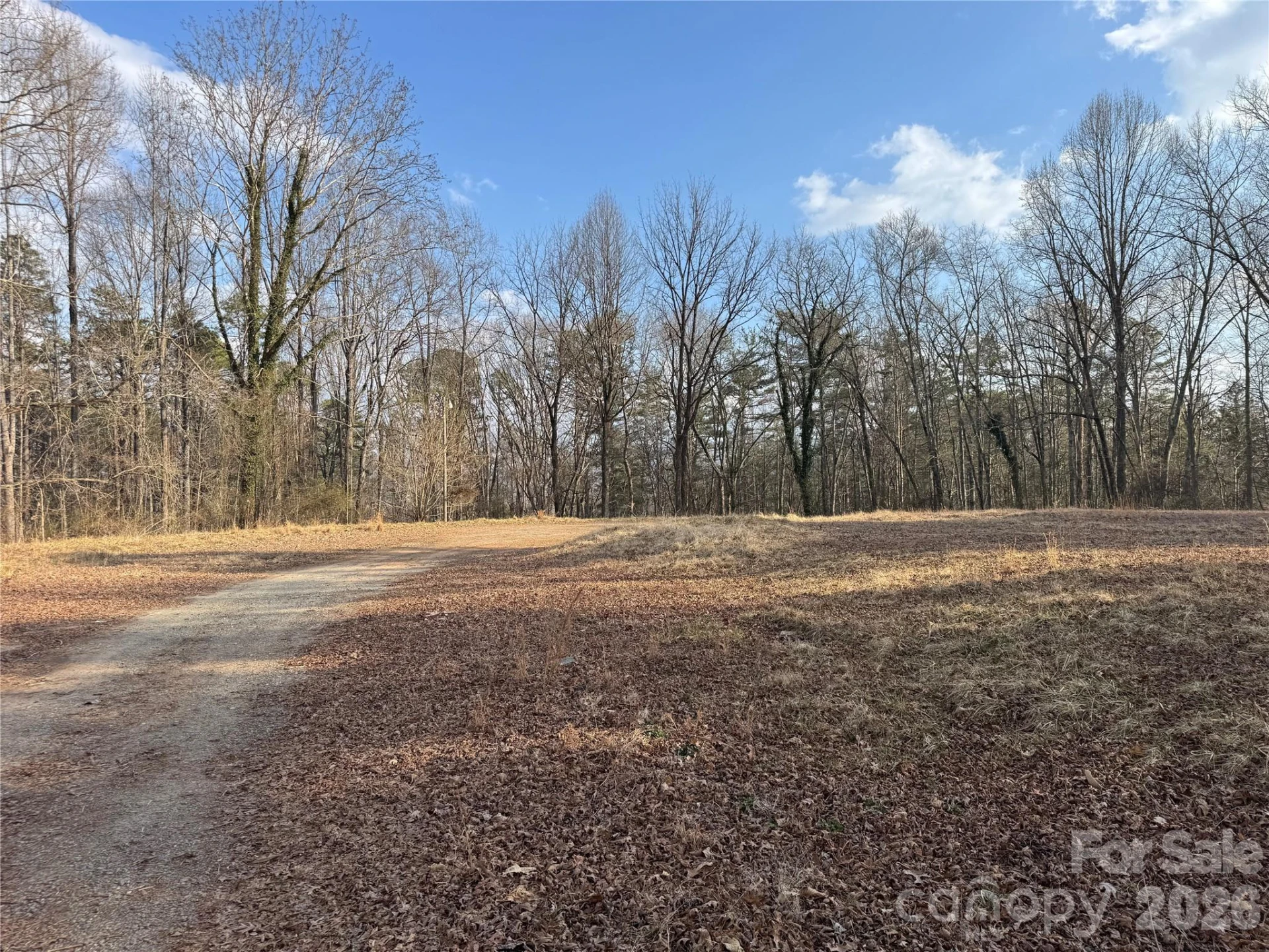481 Fisher Road - Photo 2