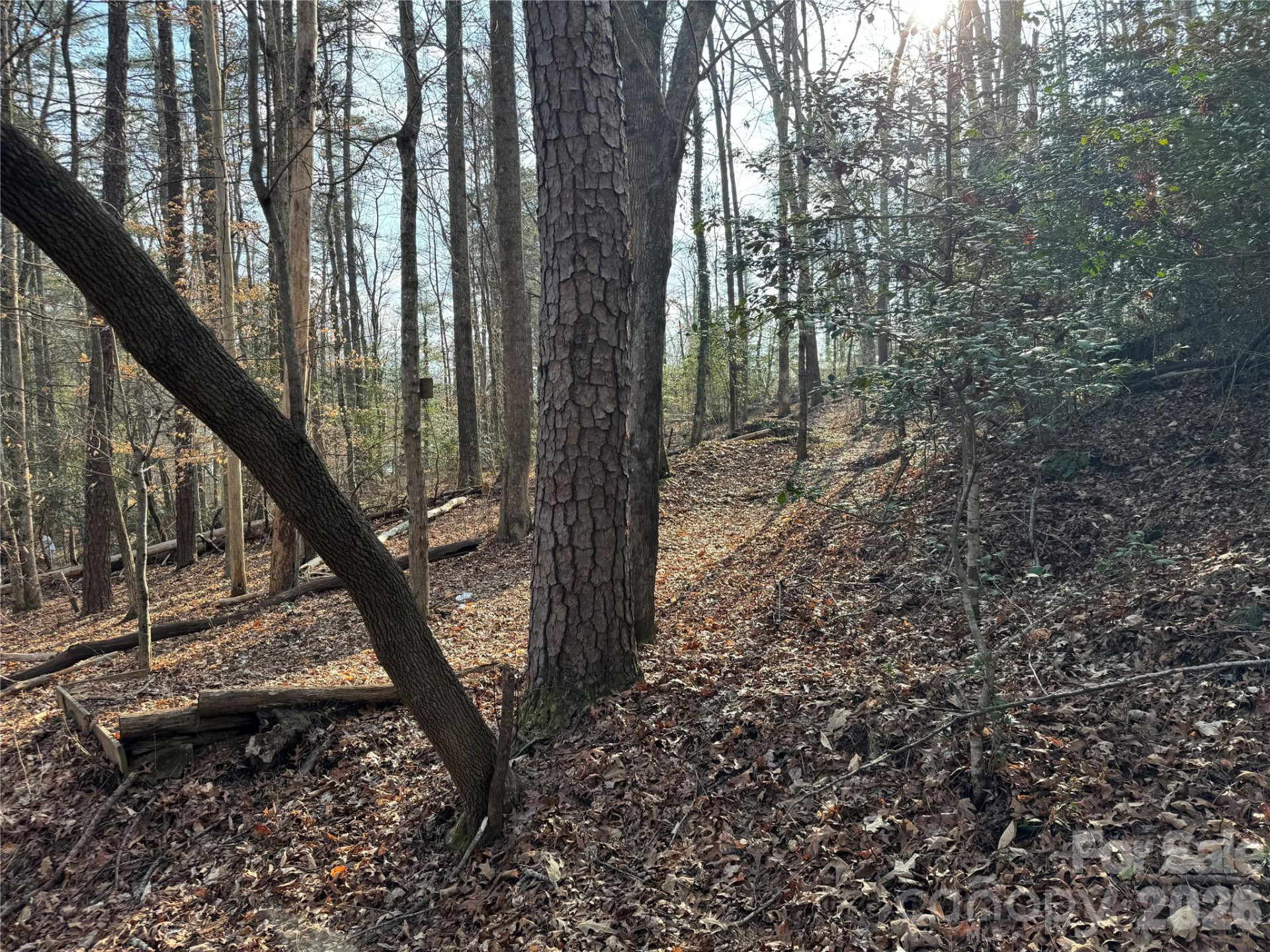 481 Fisher Road - Photo 11