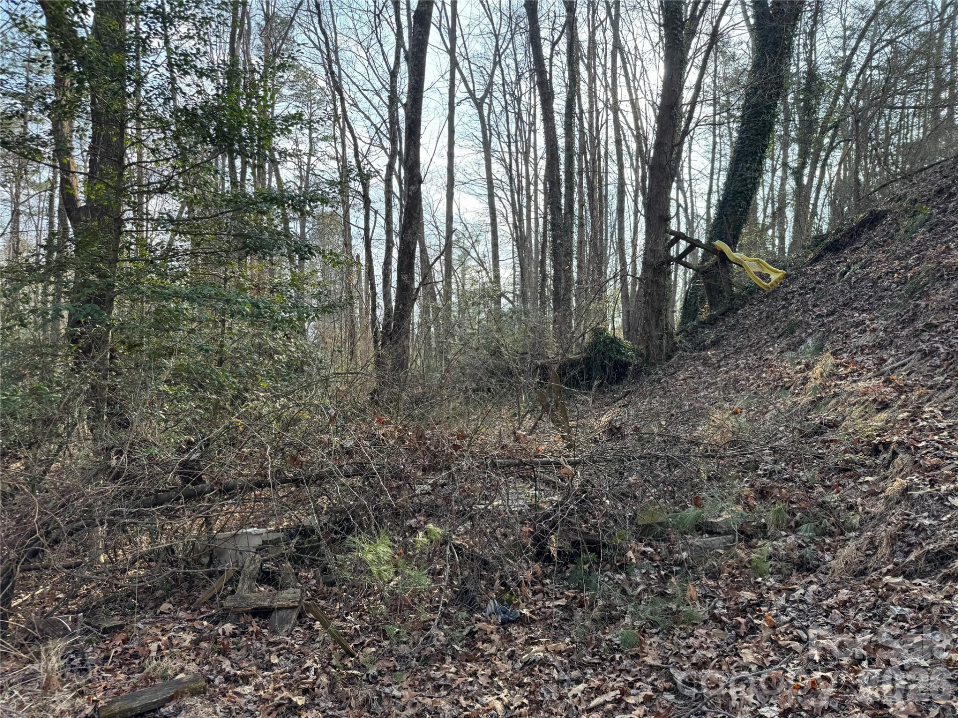 481 Fisher Road - Photo 12