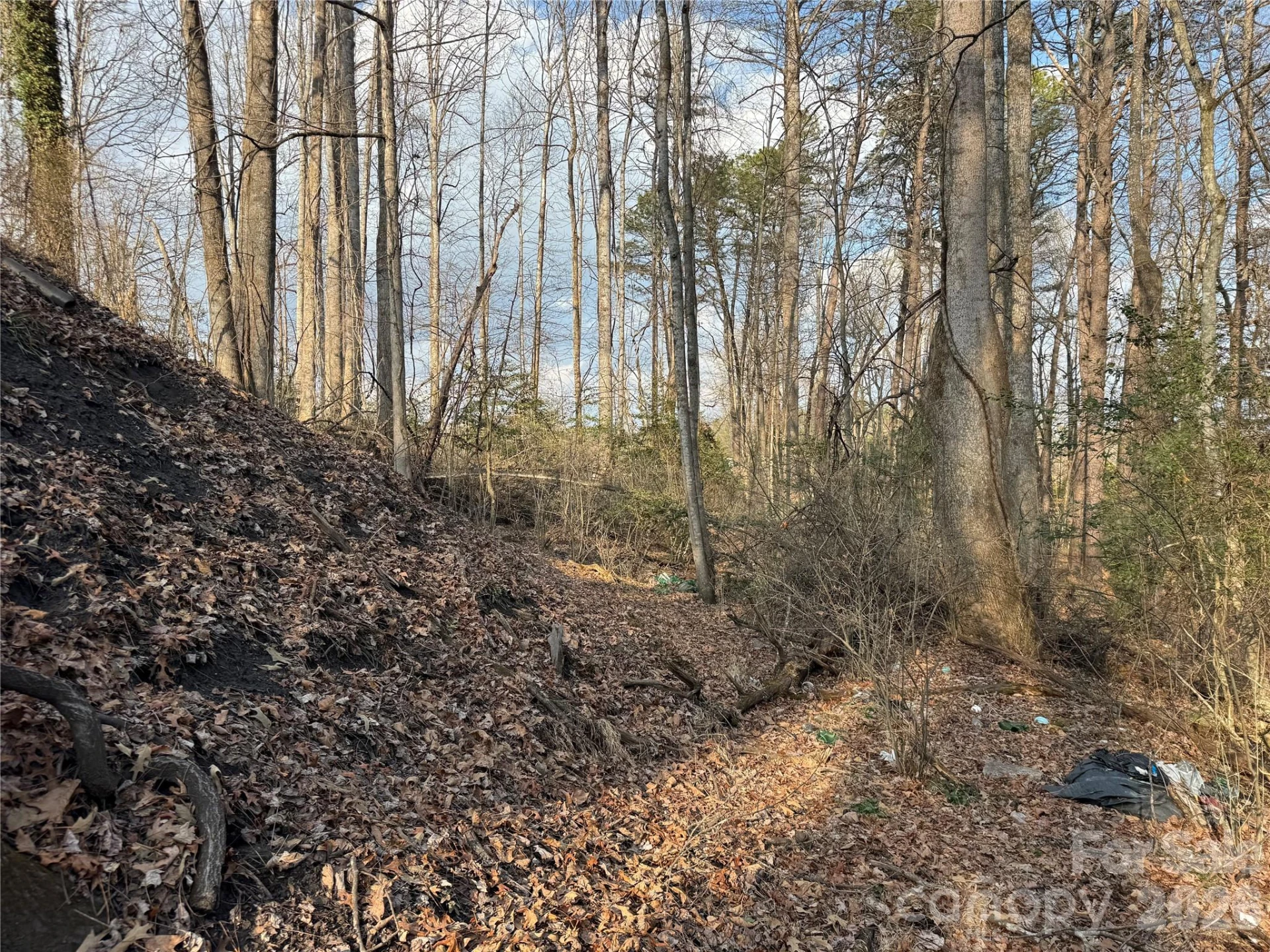 481 Fisher Road - Photo 13