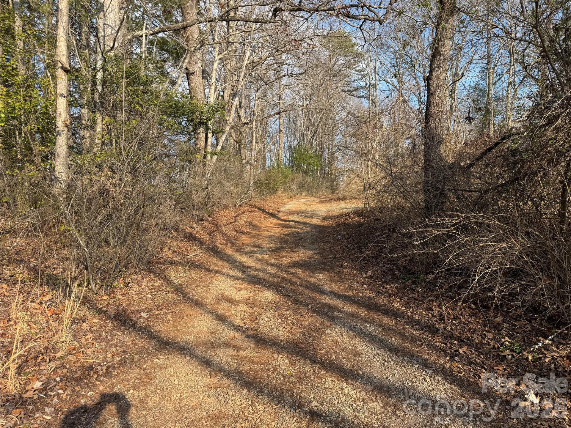 481 Fisher Road - Photo 14