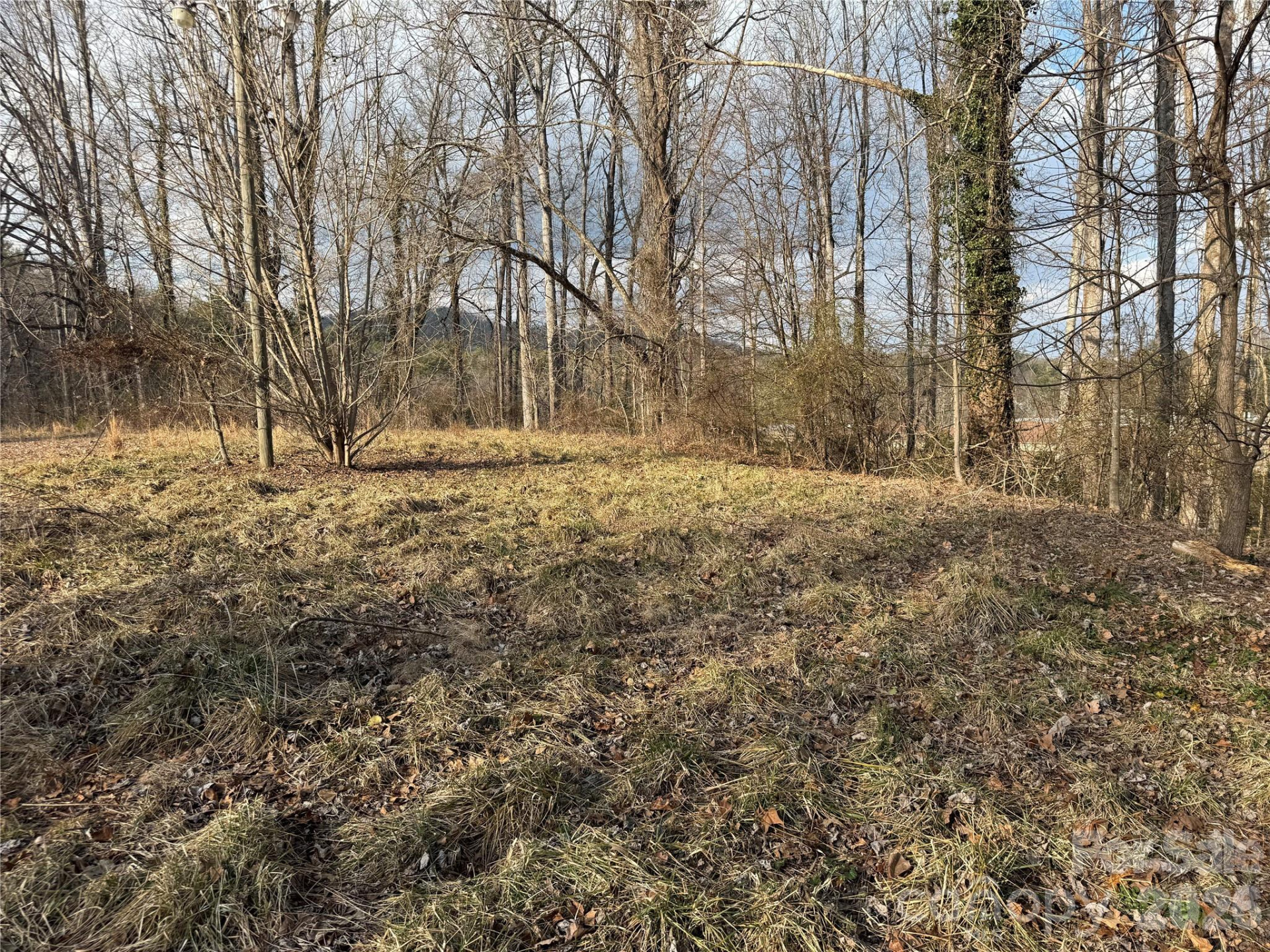 481 Fisher Road - Photo 6