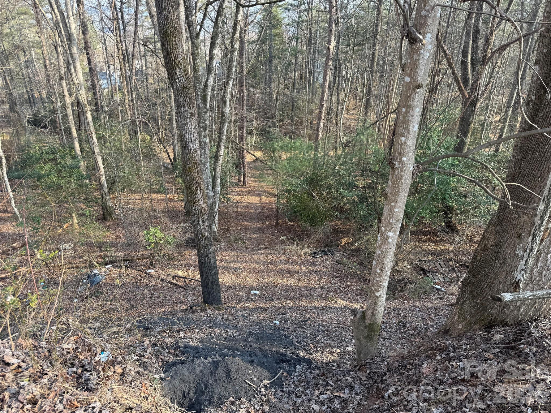 481 Fisher Road - Photo 7