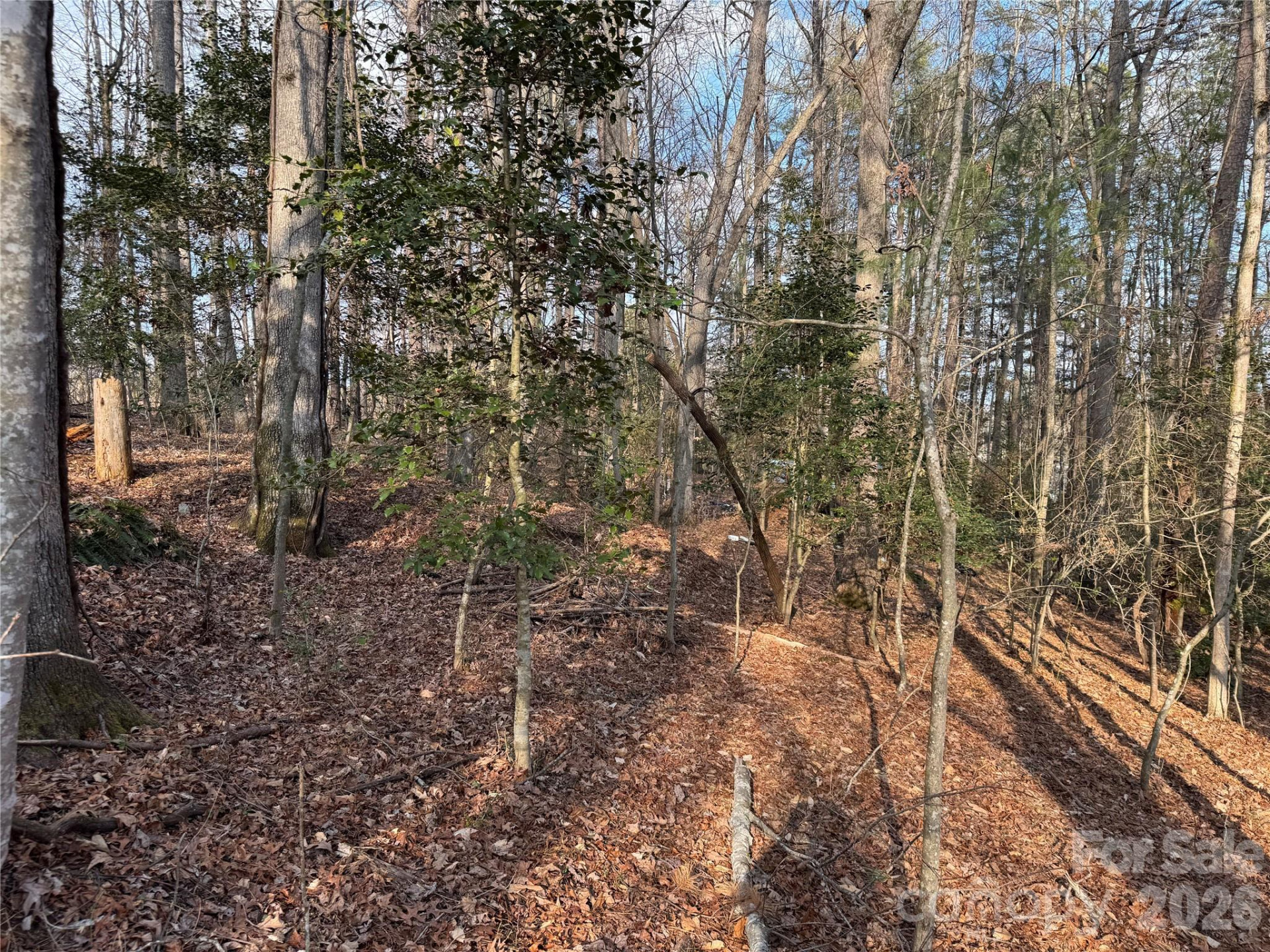 481 Fisher Road - Photo 8