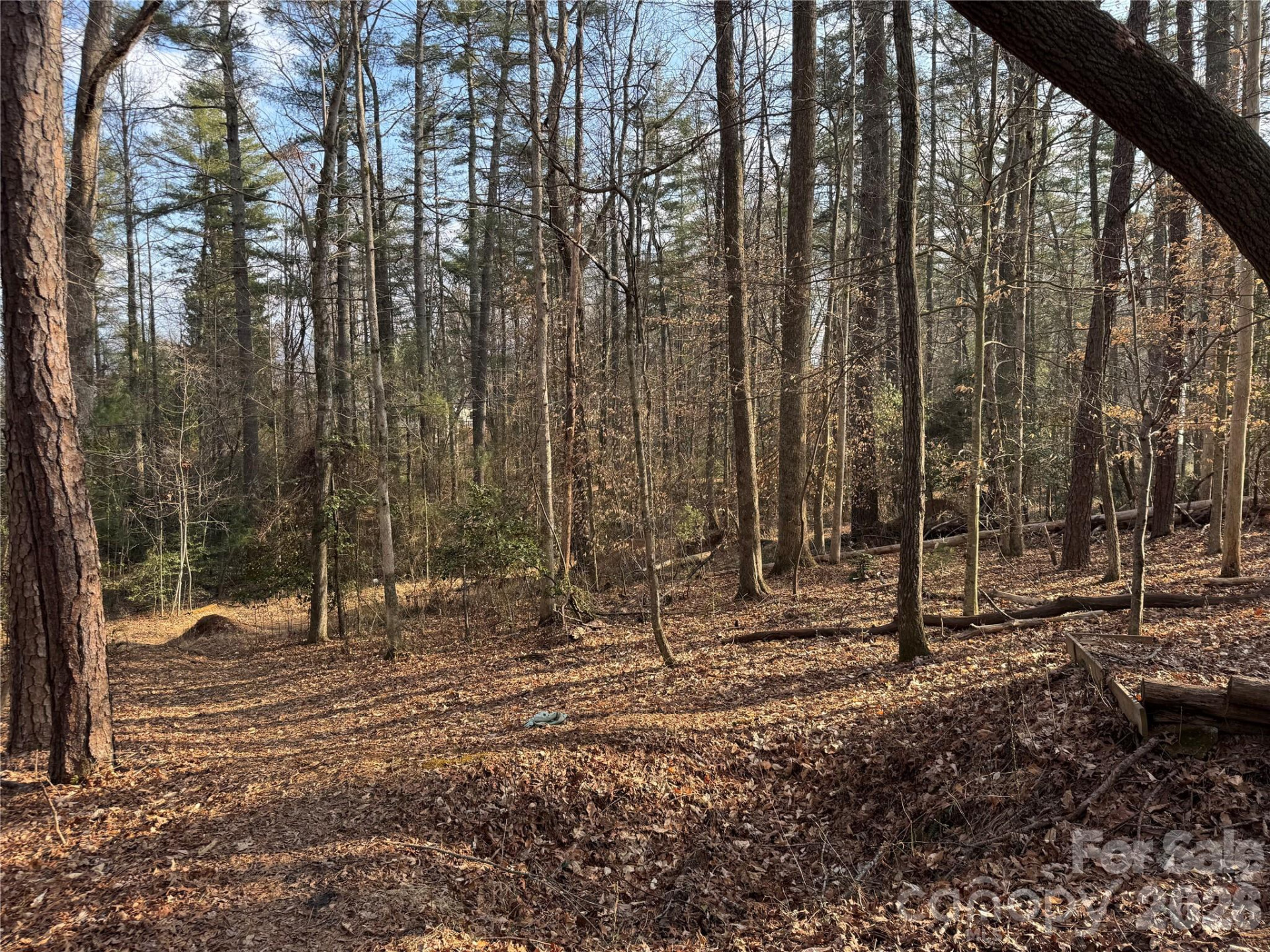 481 Fisher Road - Photo 10