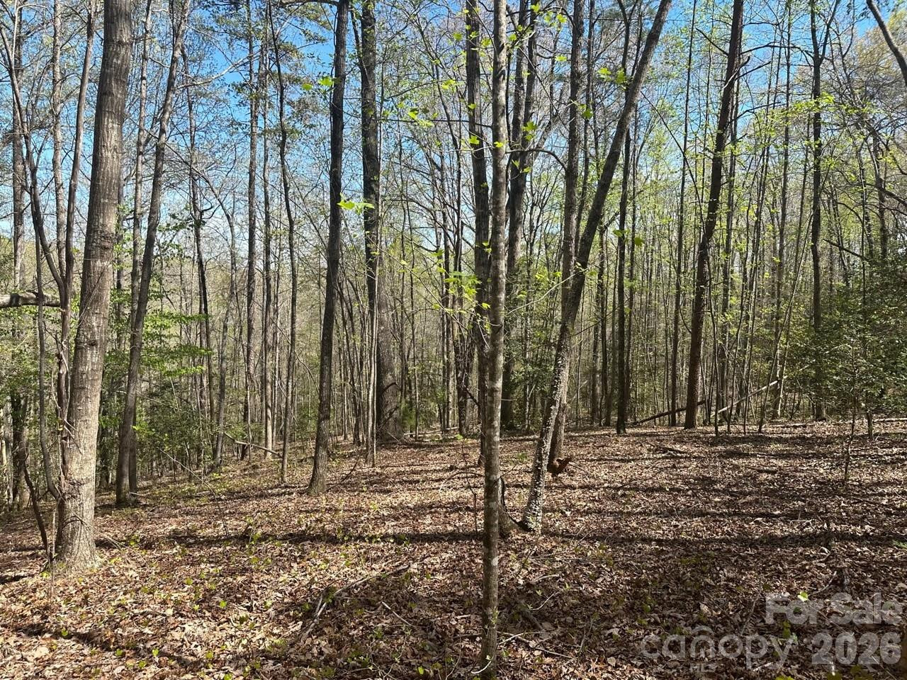 5510 US Hwy 64/74A None - Photo 11