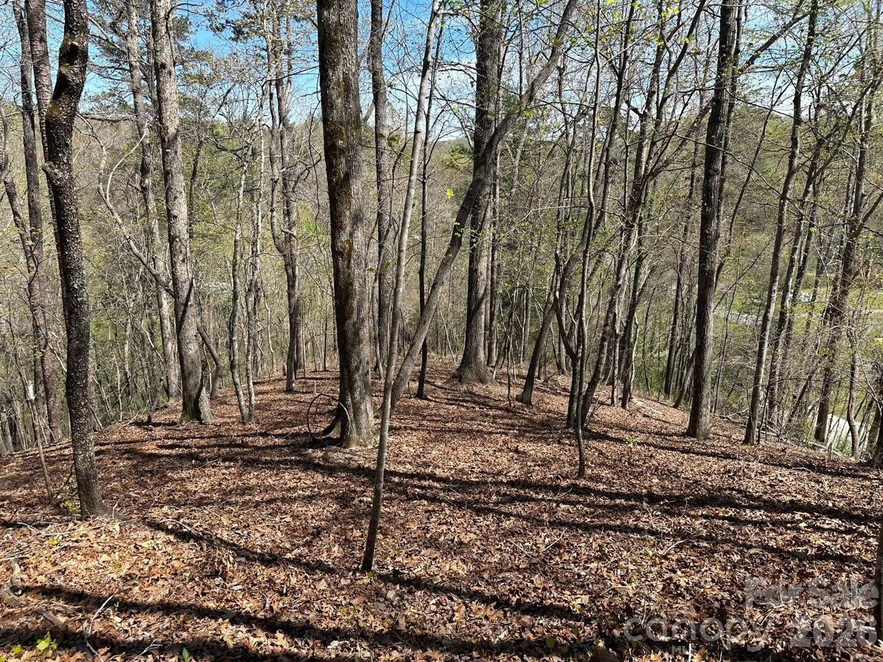 5510 US Hwy 64/74A None - Photo 12