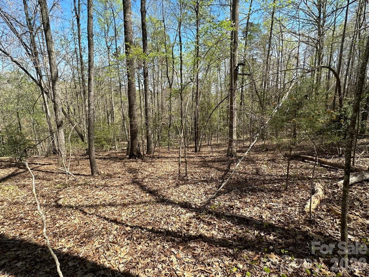 5510 US Hwy 64/74A None - Photo 13