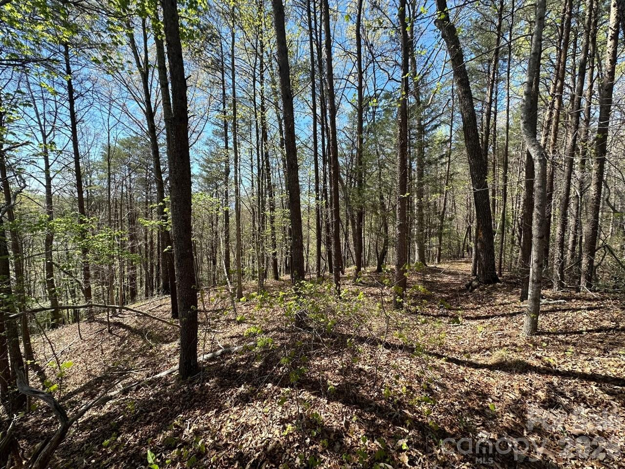 5510 US Hwy 64/74A None - Photo 15