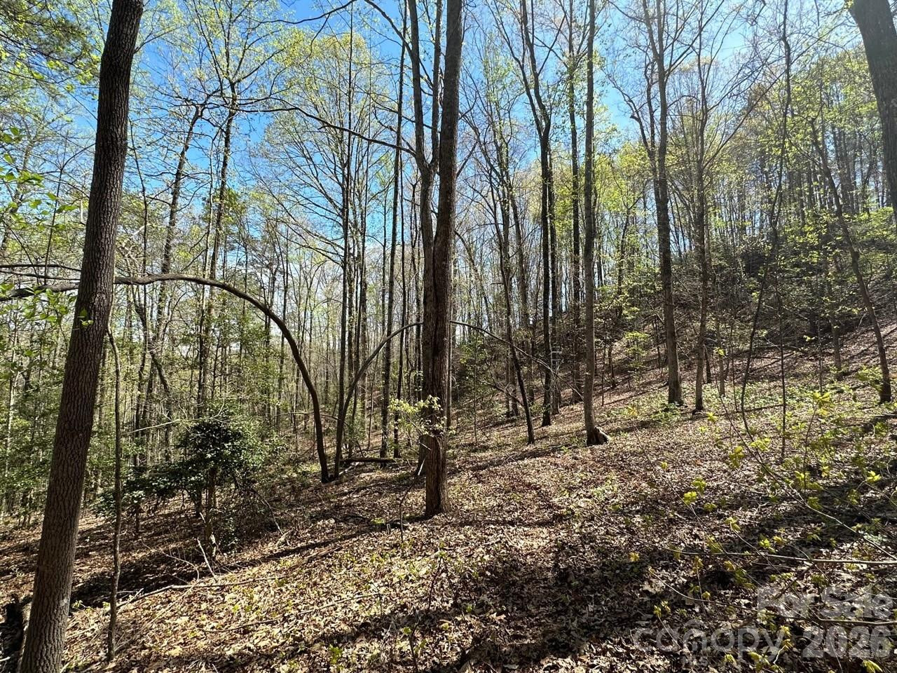 5510 US Hwy 64/74A None - Photo 16