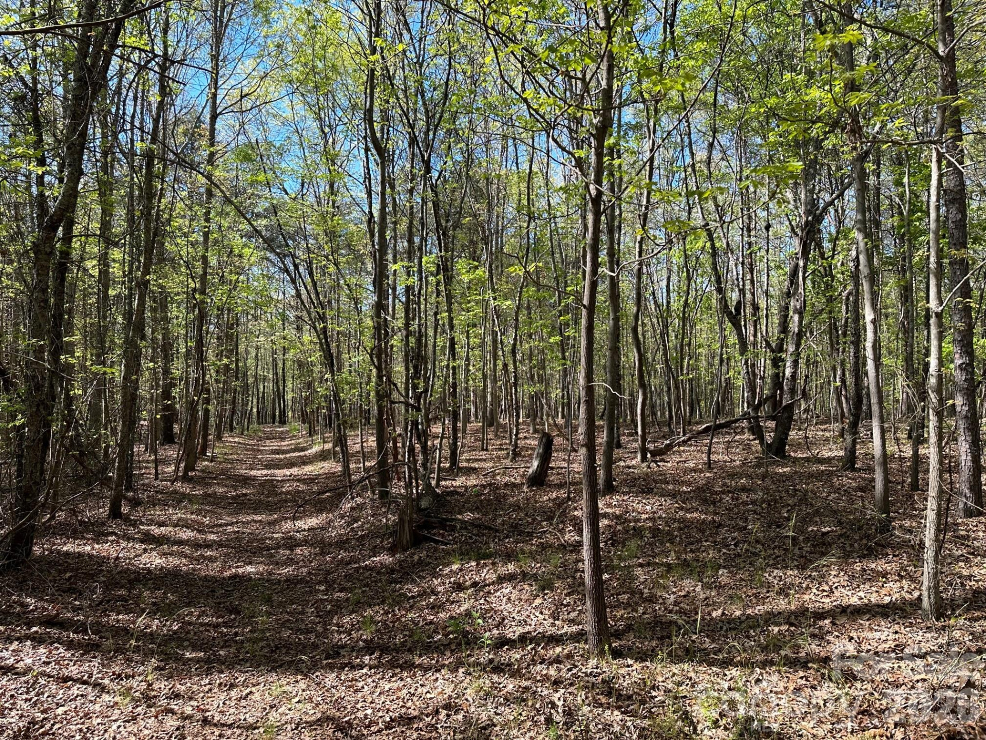 5510 US Hwy 64/74A None - Photo 17