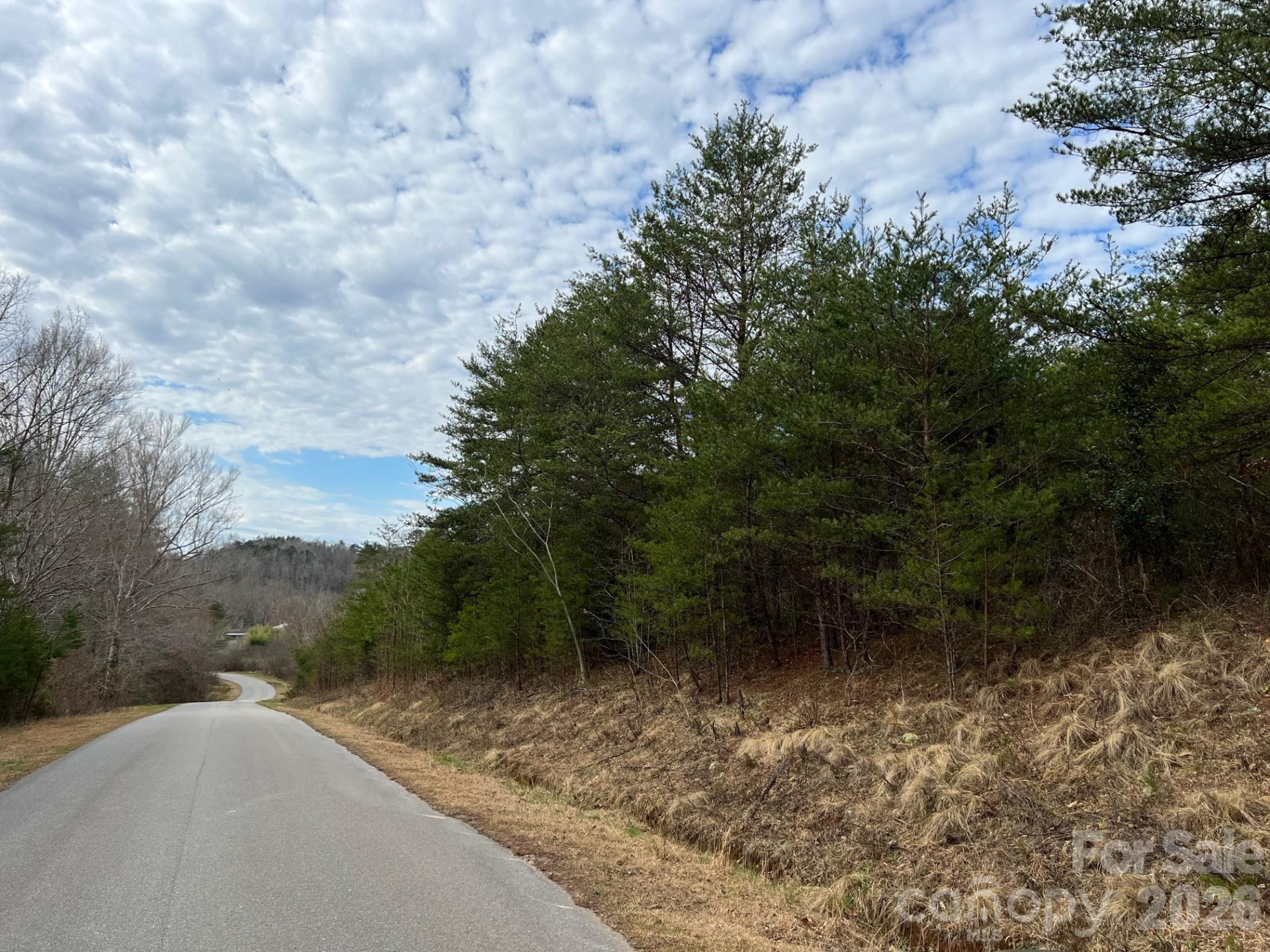 5510 US Hwy 64/74A None - Photo 18