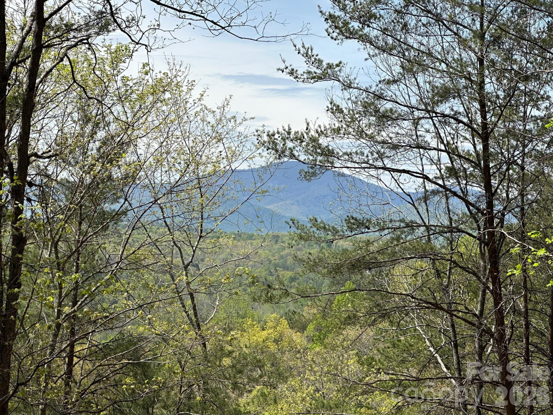 5510 US Hwy 64/74A None - Photo 5