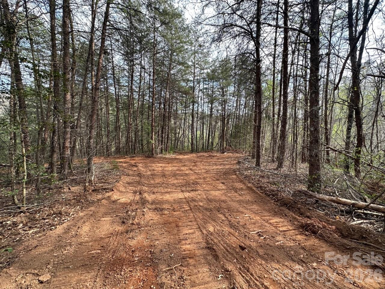 5510 US Hwy 64/74A None - Photo 6