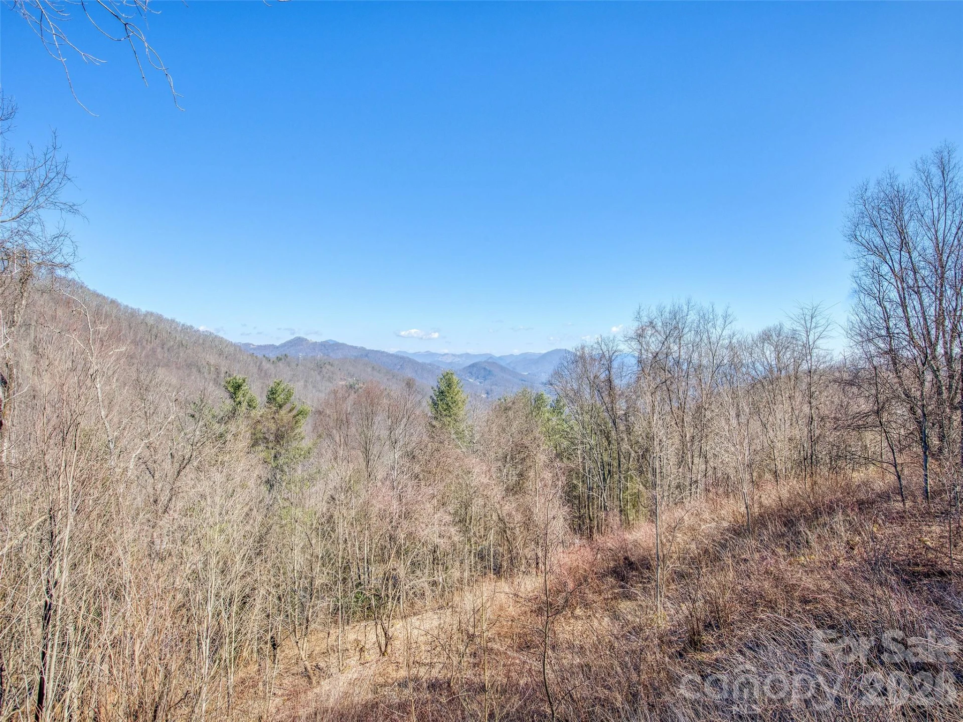 1463 Apple Creek Road - Photo 6