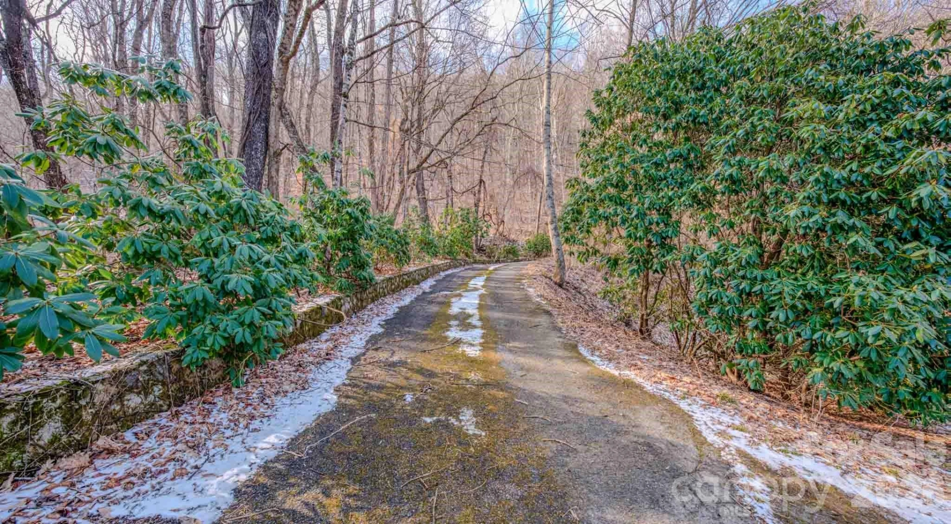 1463 Apple Creek Road - Photo 7