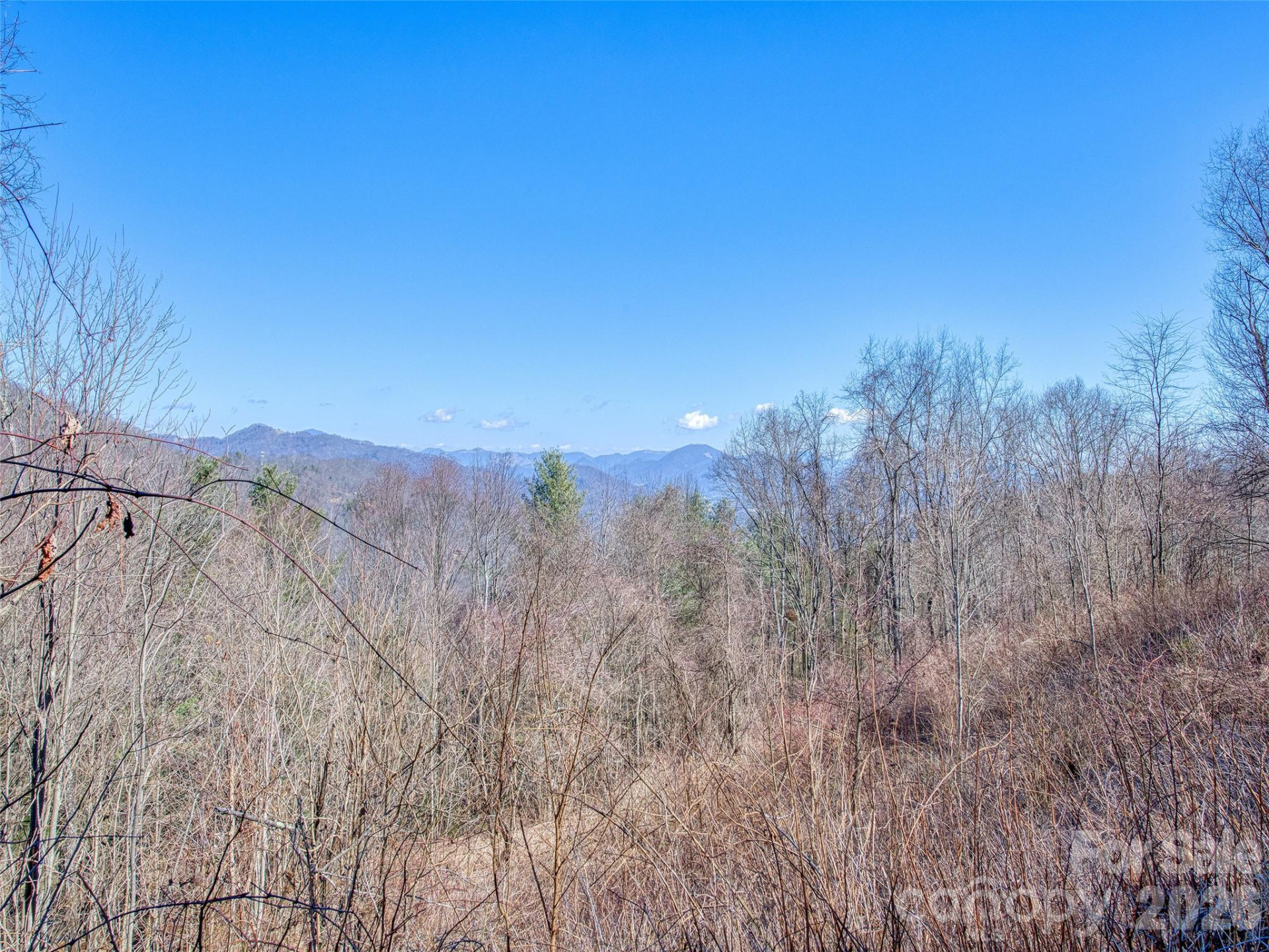 1463 Apple Creek Road - Photo 9