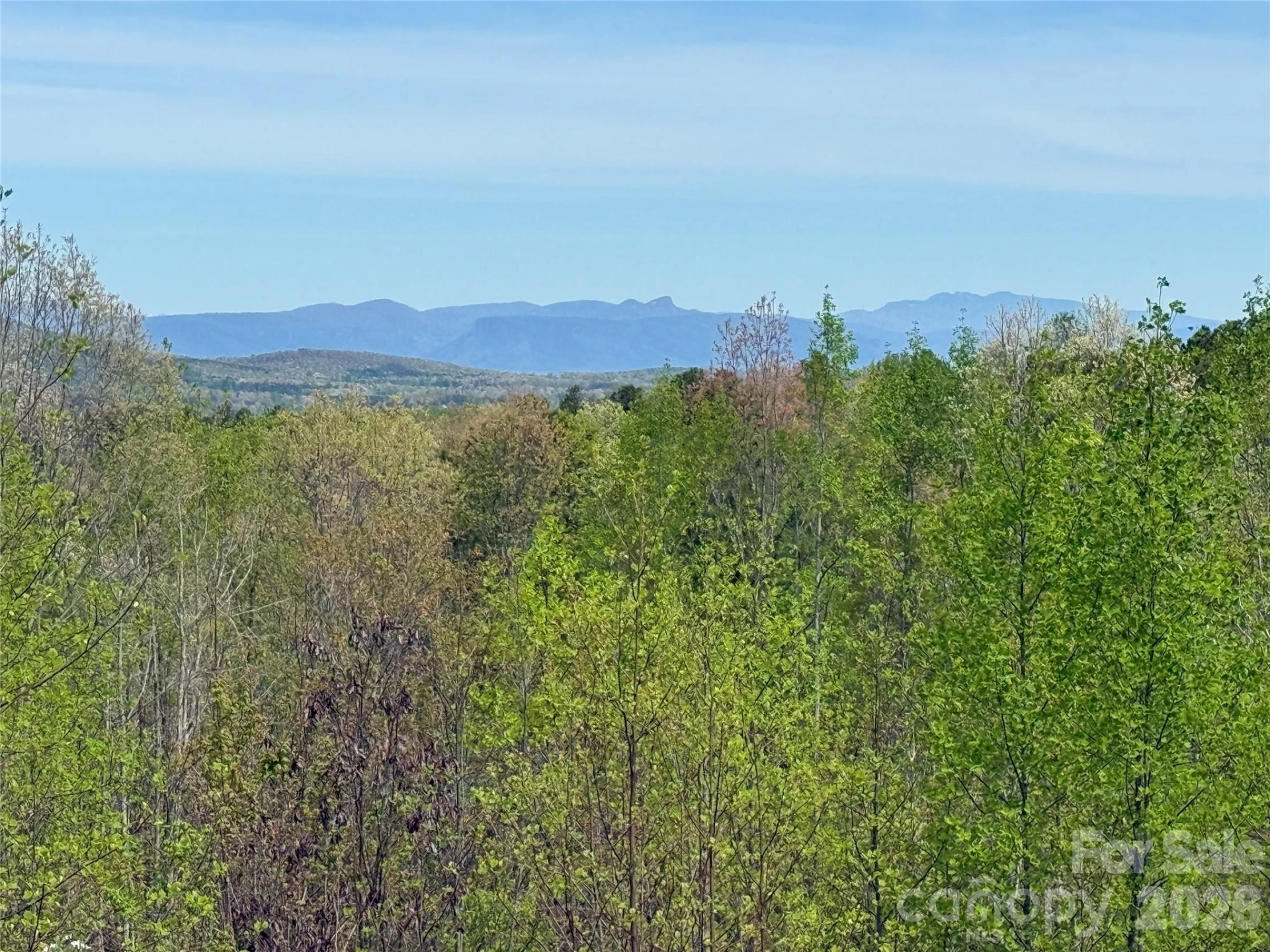338 Lakeview Trail - Photo 25