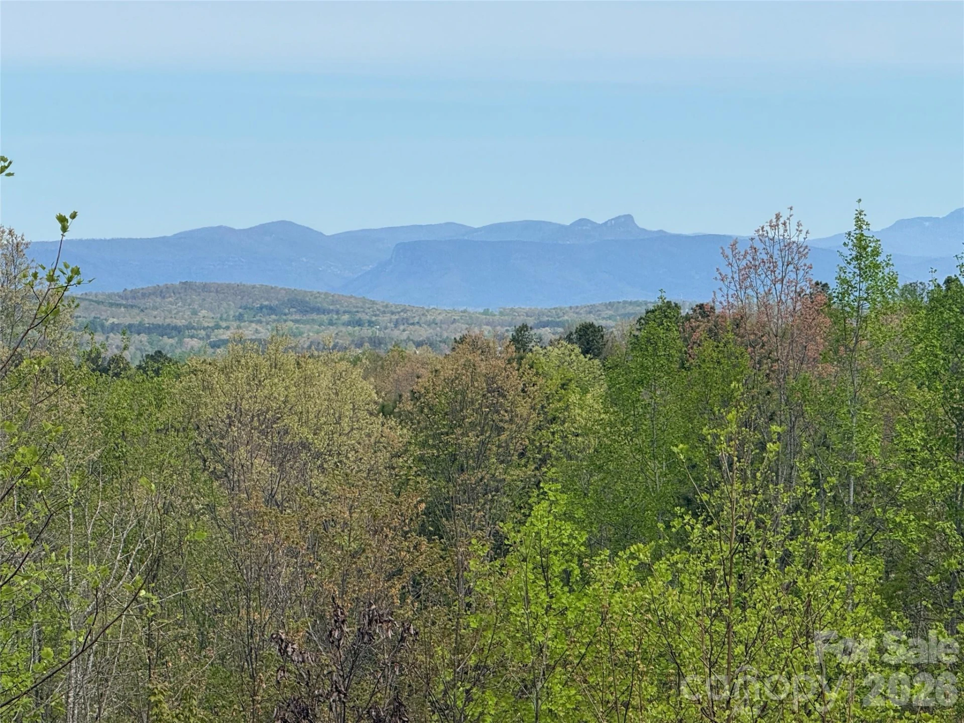 338 Lakeview Trail - Photo 27