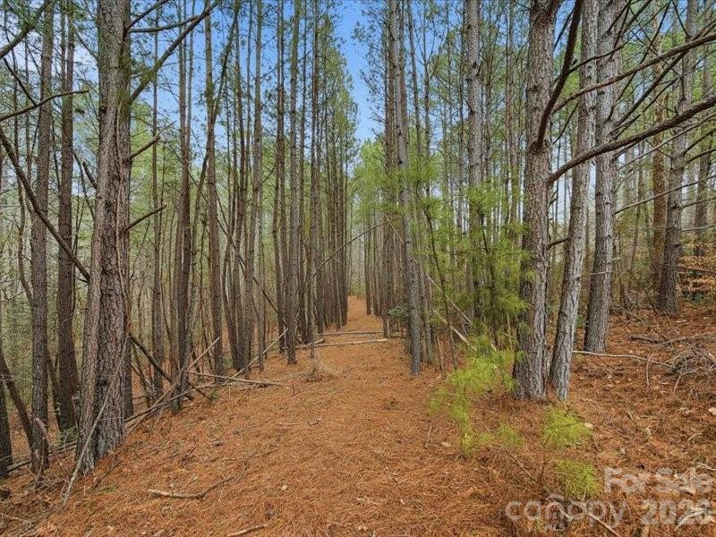 108 Rivercliff Drive - Photo 11