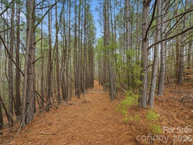 108 Rivercliff Drive - Photo 11