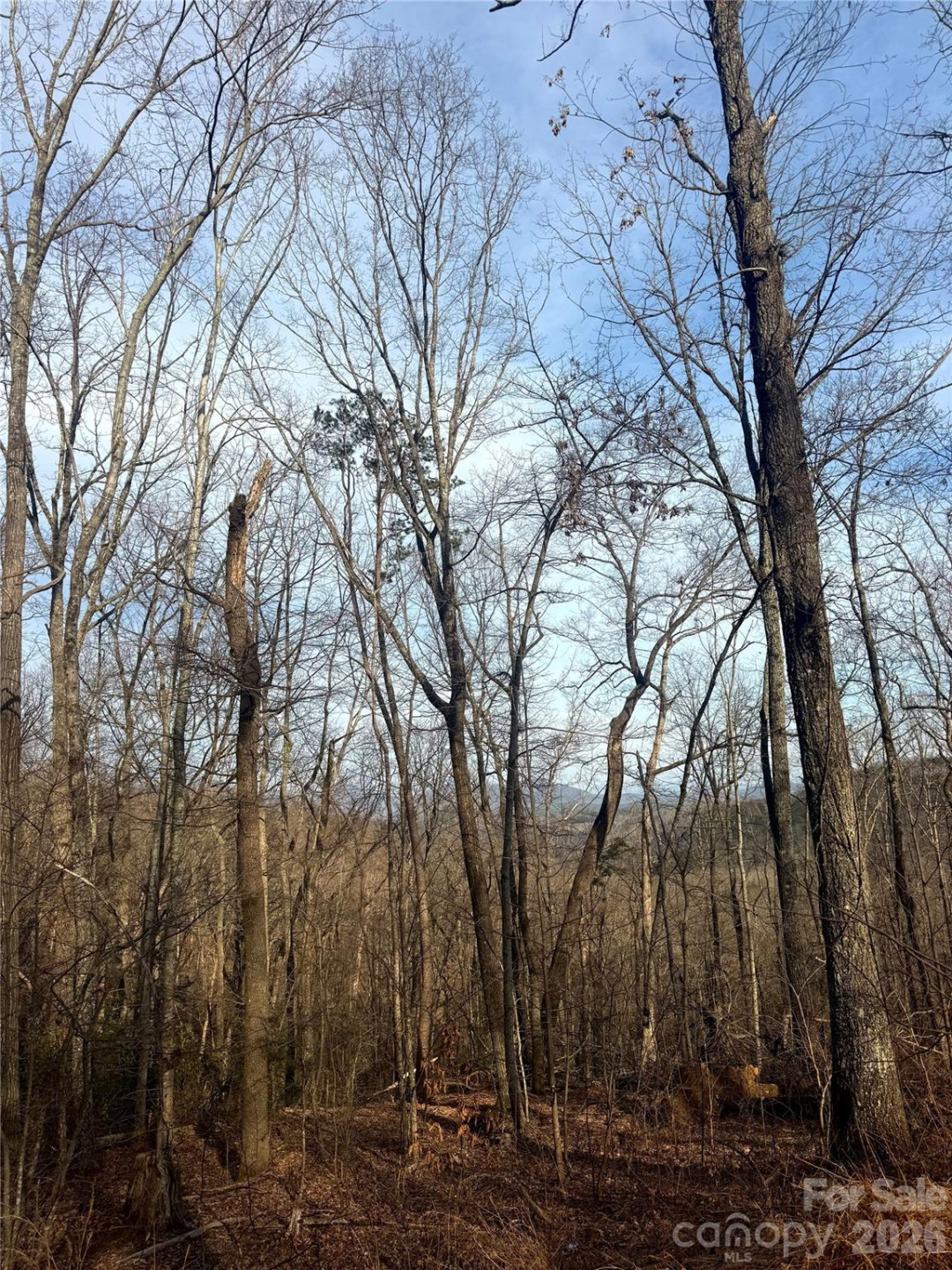 0 Peartree Drive - Photo 3