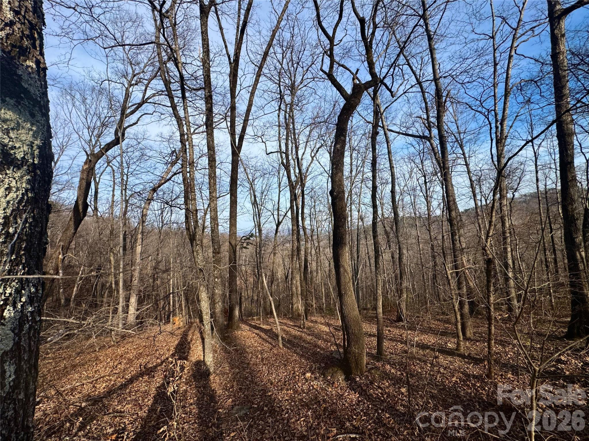 0 Peartree Drive - Photo 4