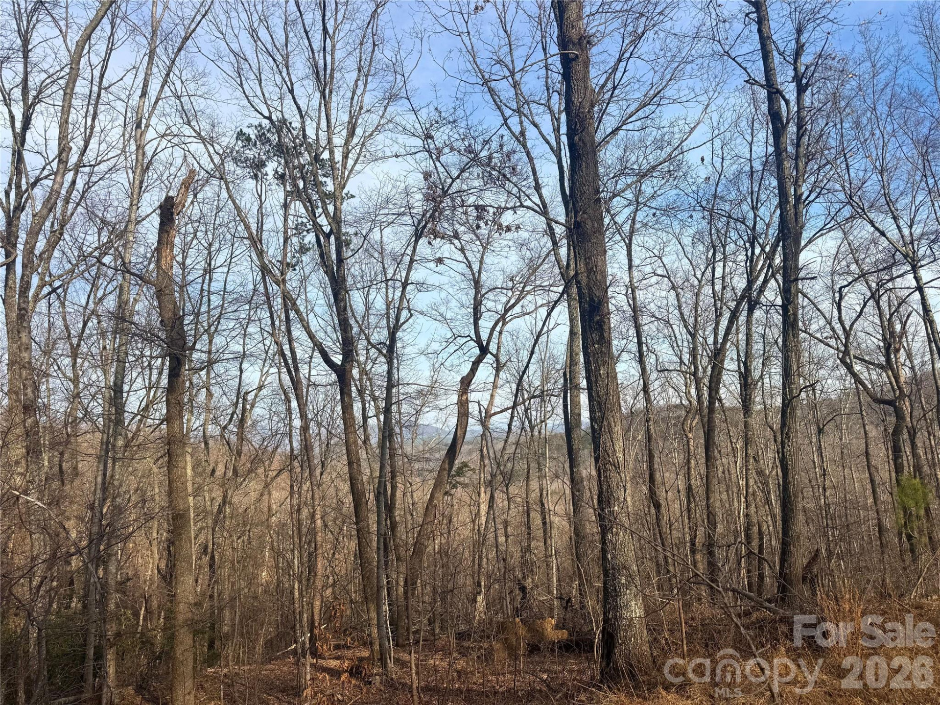 0 Peartree Drive - Photo 5