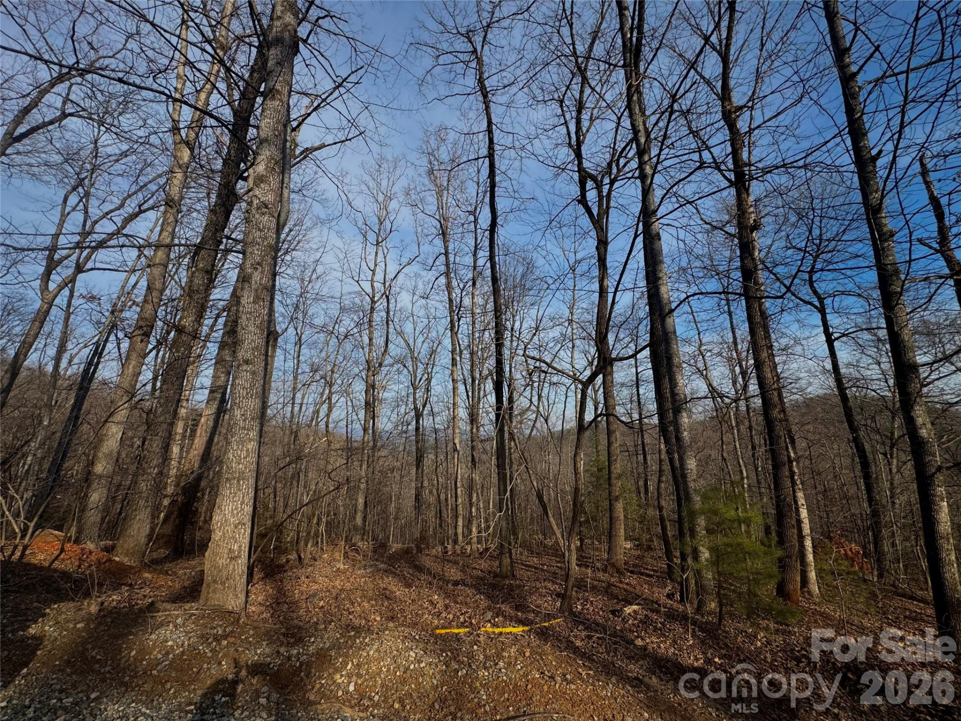 0 Peartree Drive - Photo 7