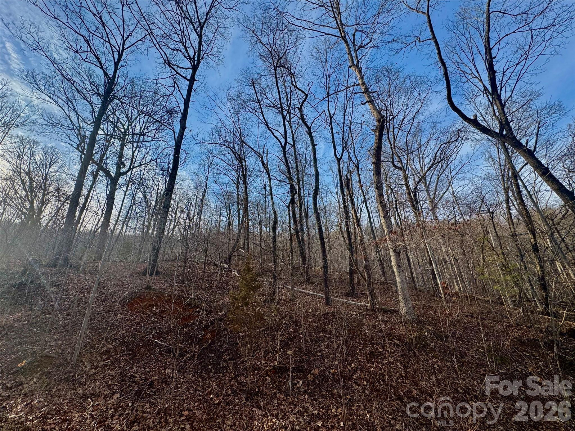 0 Peartree Drive - Photo 9