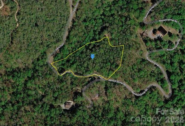 650 Bannack Springs Road, Whittier, NC, 28789