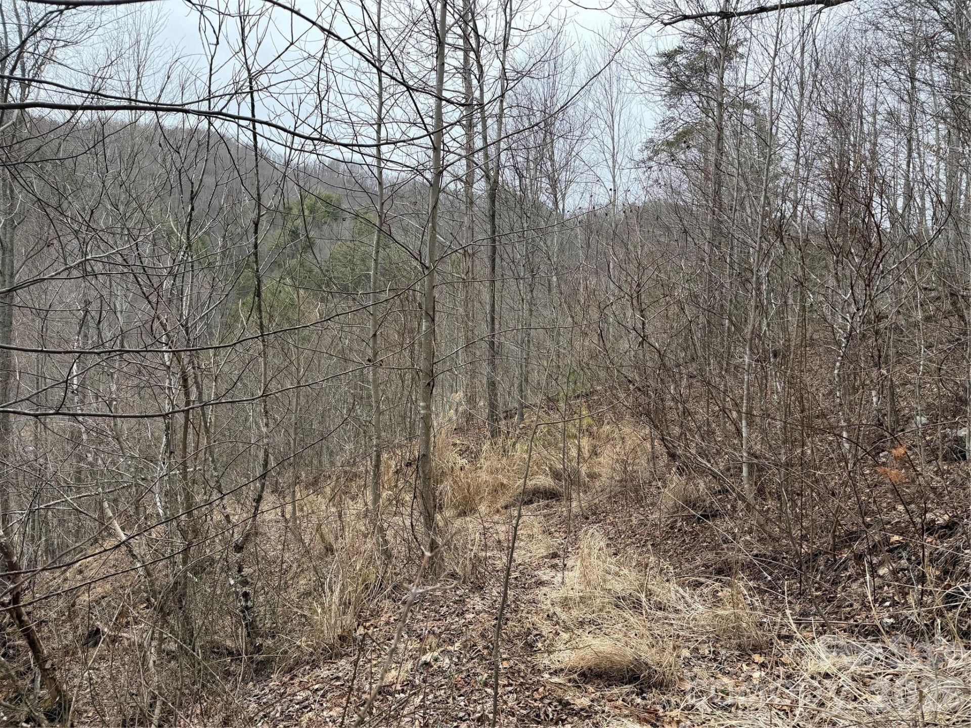 4958 Grapevine Road - Photo 15