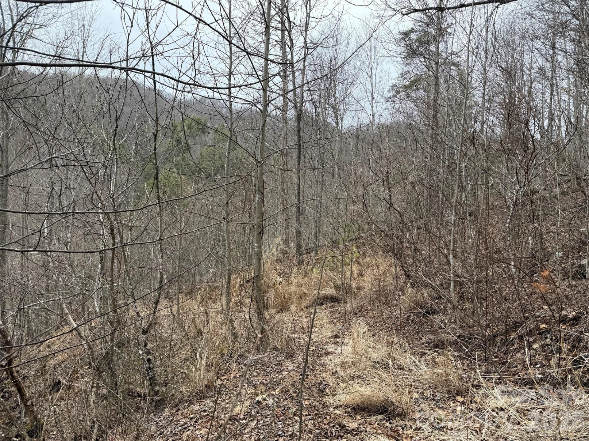 4958 Grapevine Road - Photo 15