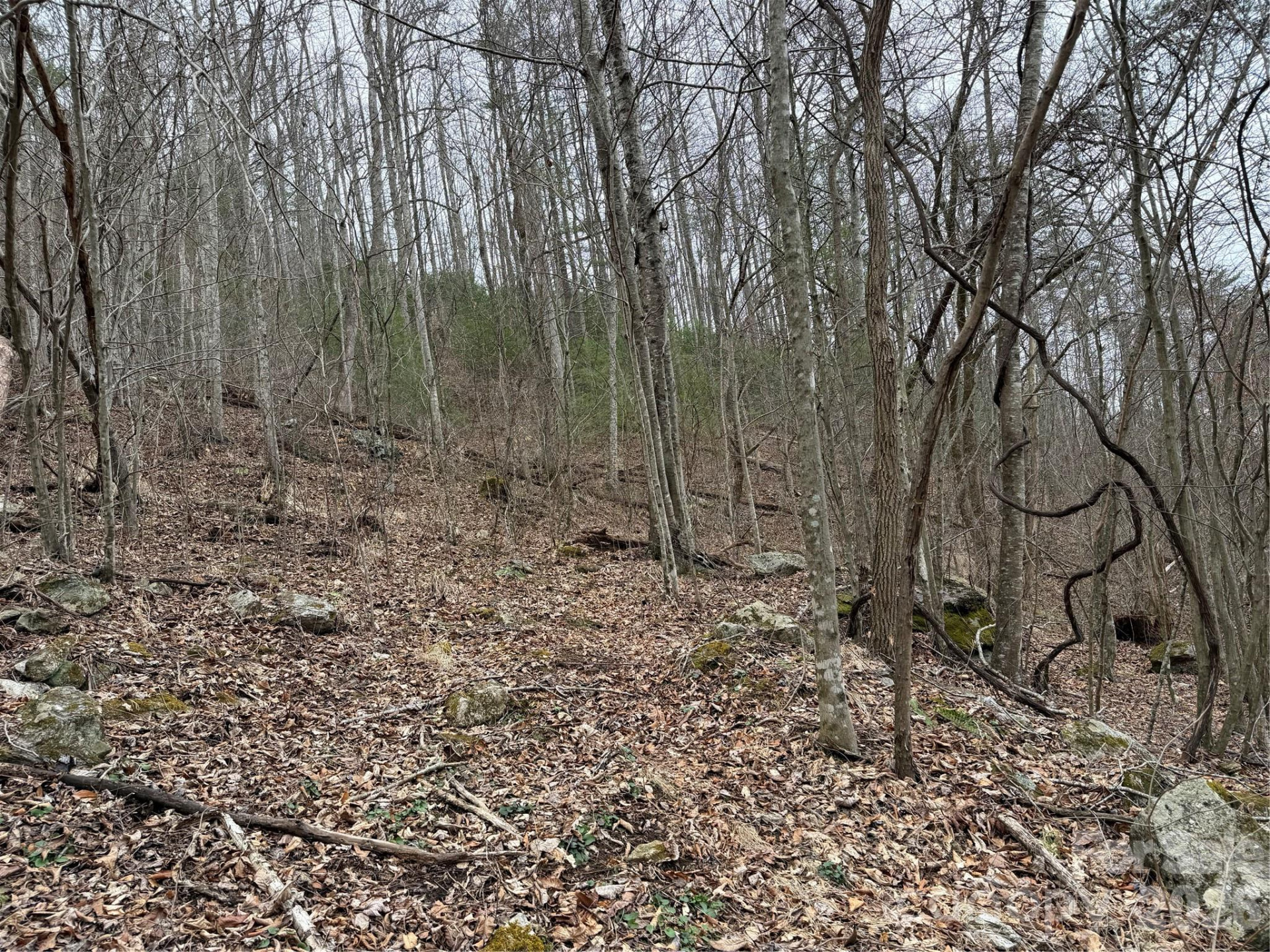 4958 Grapevine Road - Photo 16