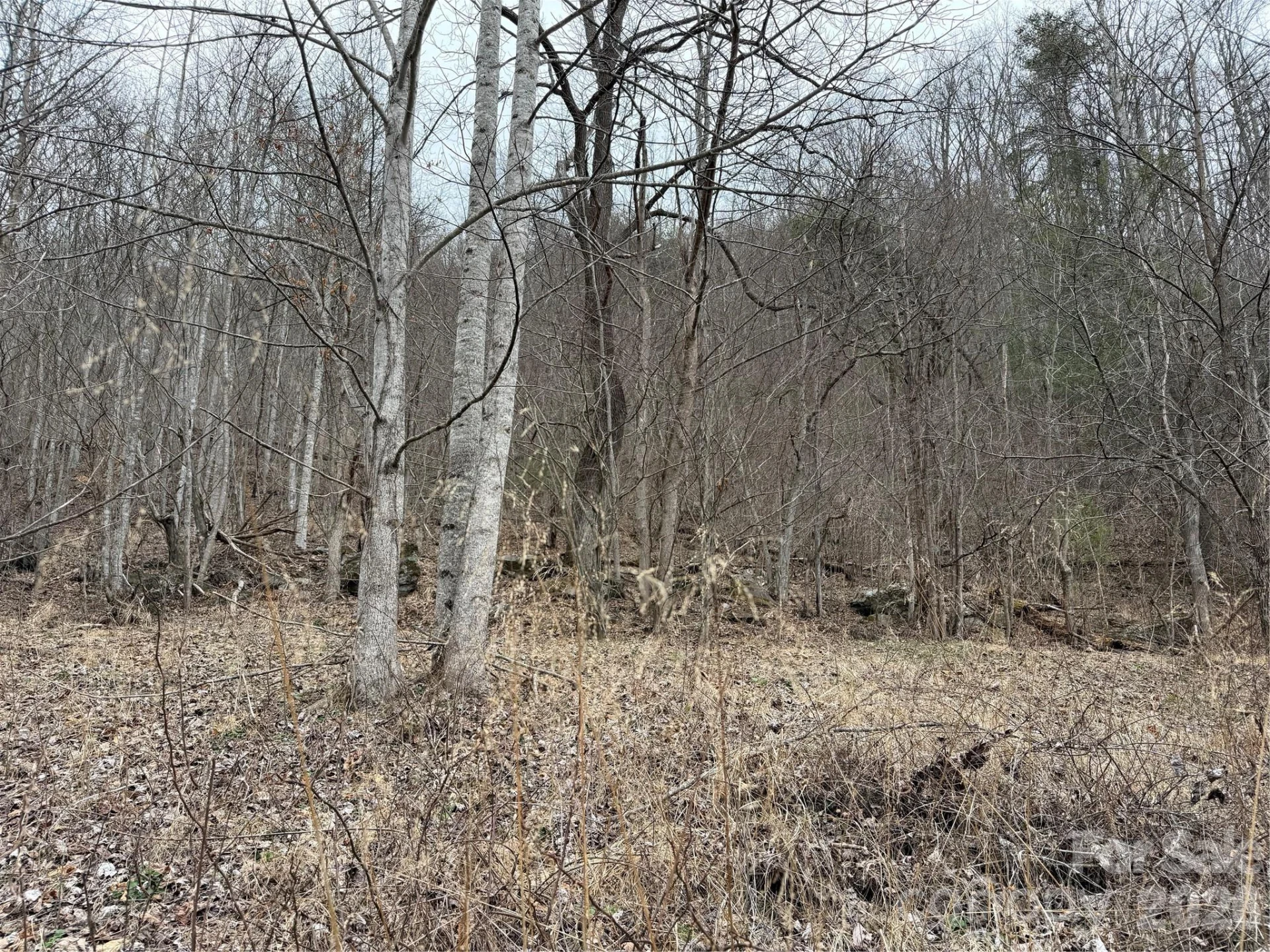 4958 Grapevine Road - Photo 17