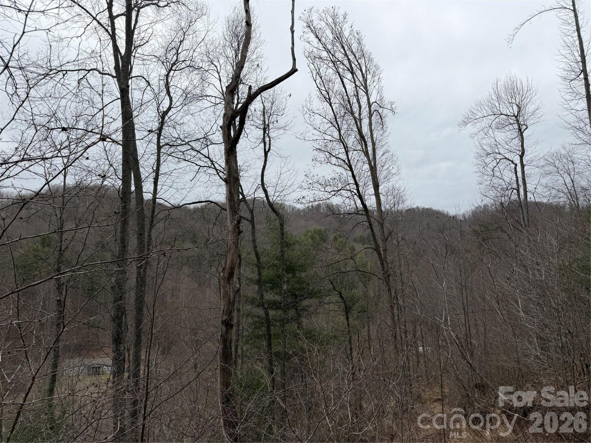 4958 Grapevine Road - Photo 18