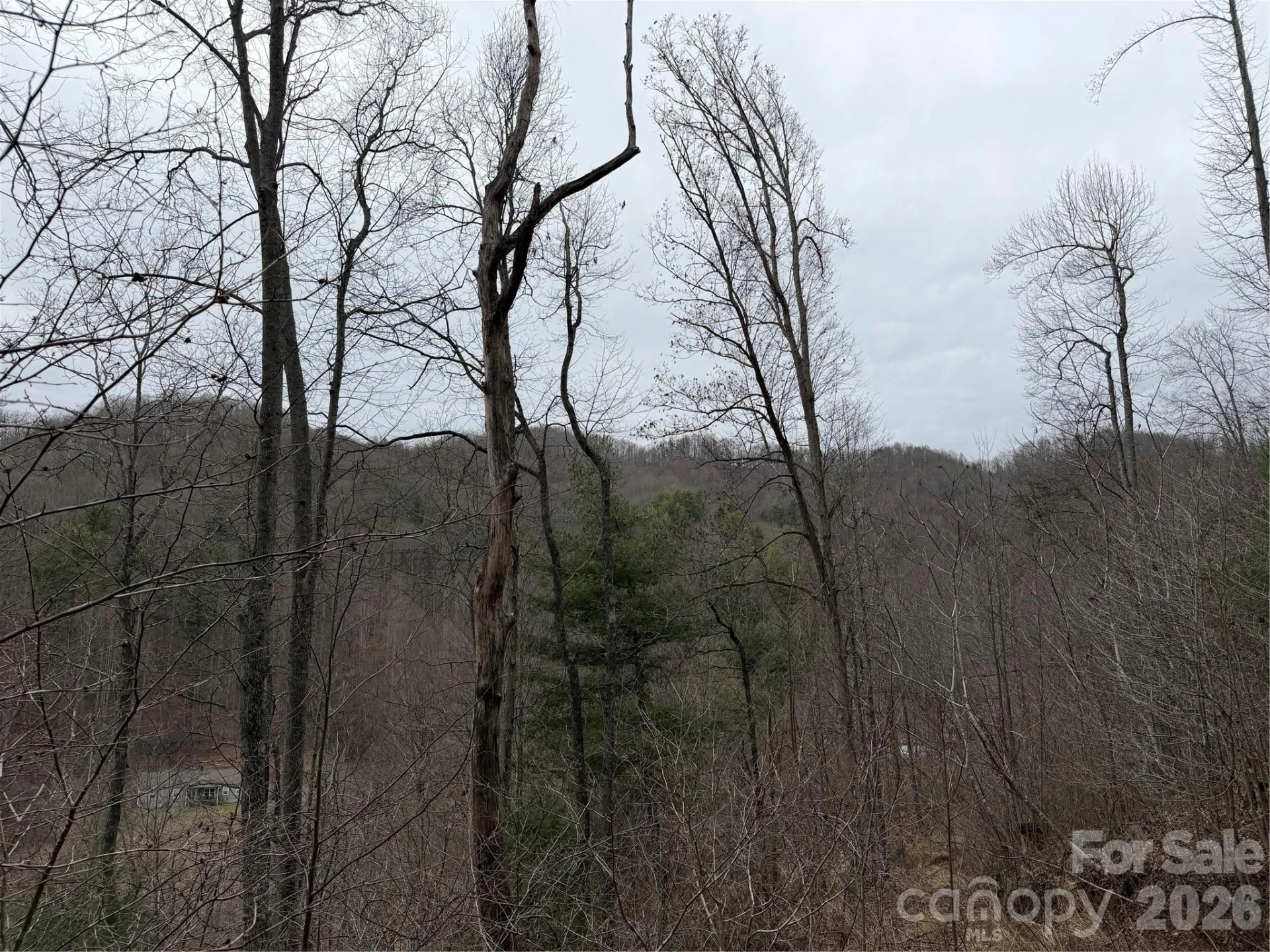 4958 Grapevine Road - Photo 18
