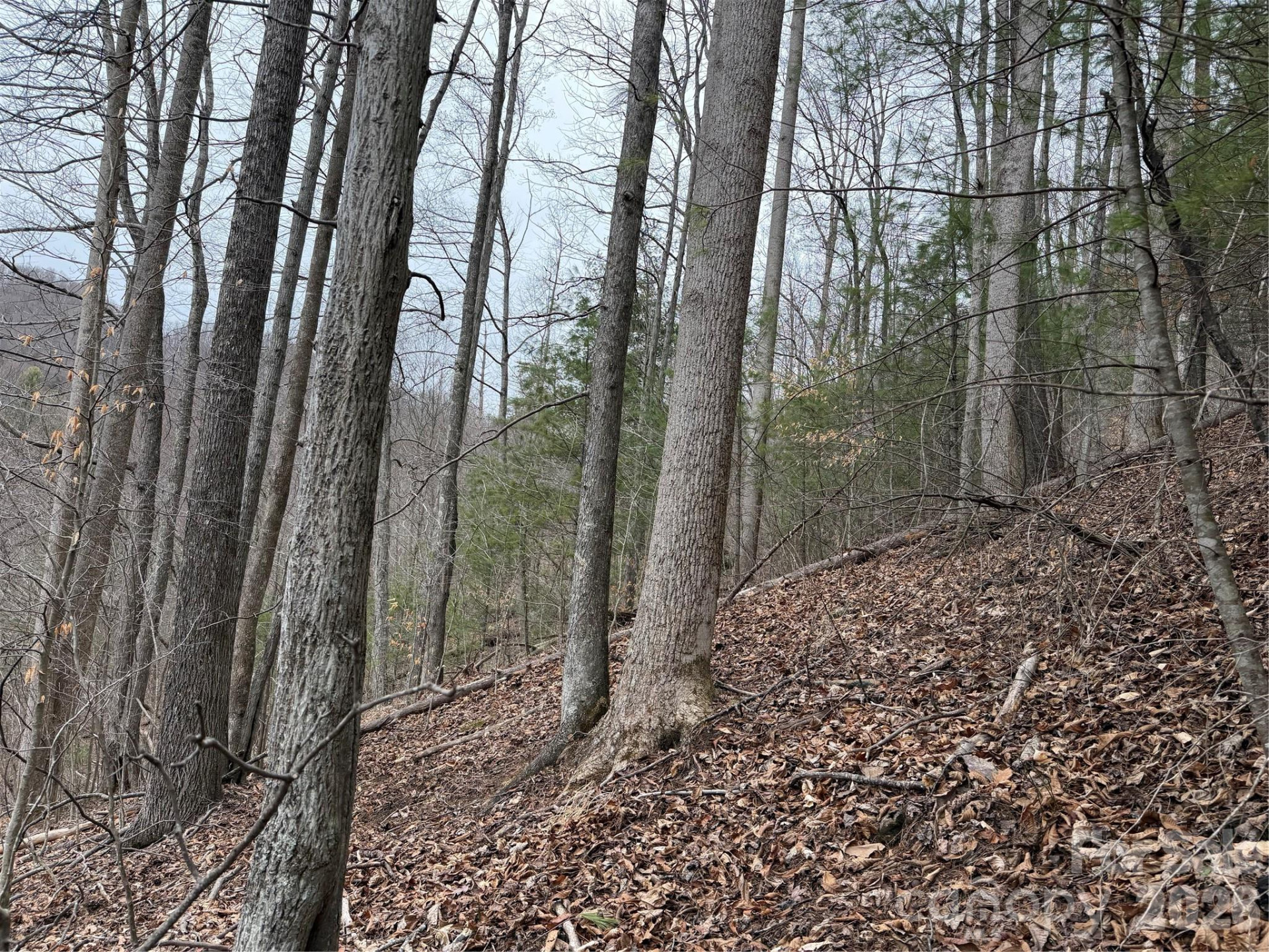 4958 Grapevine Road - Photo 19